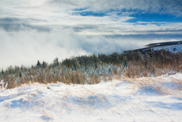 Böhmischer Nebel bei Cínovec