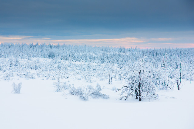Winterlandschaft bei Cínovec