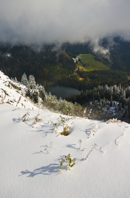 Wintereinbruch am Feldberg