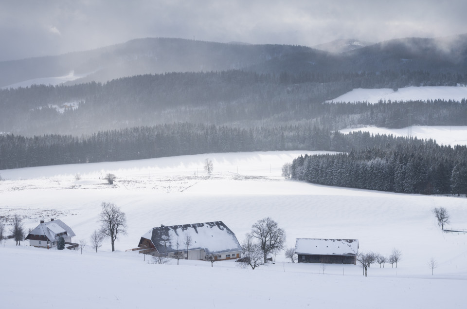 Winterlandschaft, Breitnau