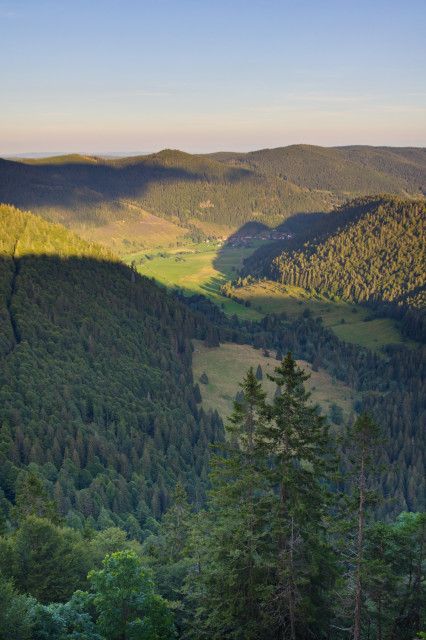 Blick über das Krunkelbachtal
