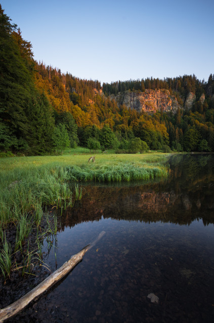 Feldsee