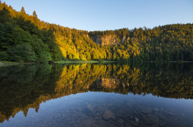 Feldsee