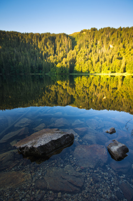 Feldsee