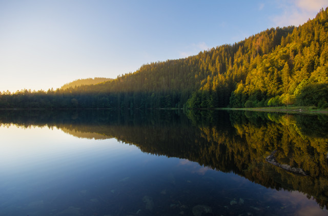 Feldsee