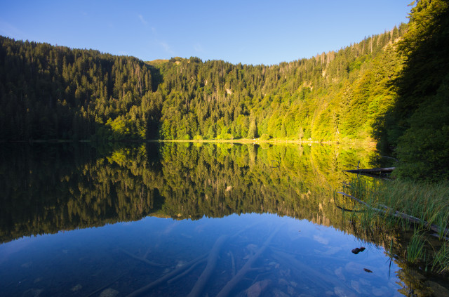 Feldsee