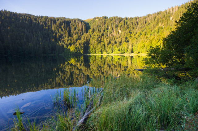 Feldsee