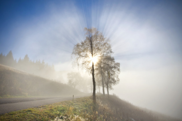 Sonnenstrahlen im Nebel, Bernau im Schwarzwald