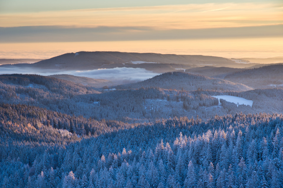 Winterlandschaft gesehen vom Baldenweger Buck, im Hintergrund der Hochfirst