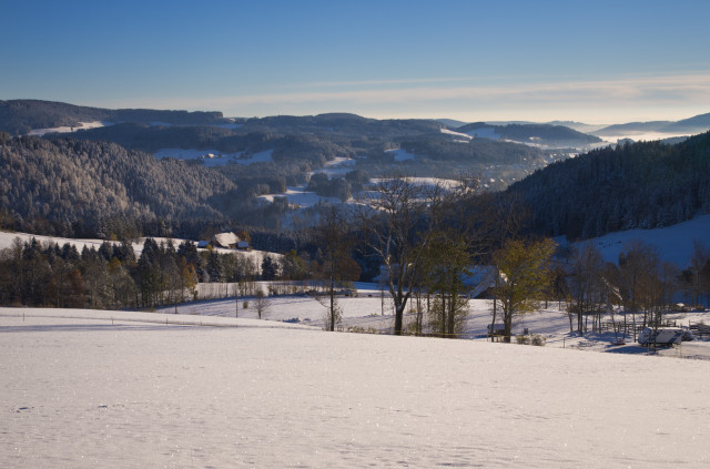 Hinterzarten-Alpersbach nach Wintereinbruch