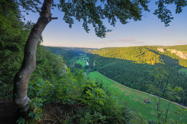 Auf dem Knopfmacherfelsen bei Beuron