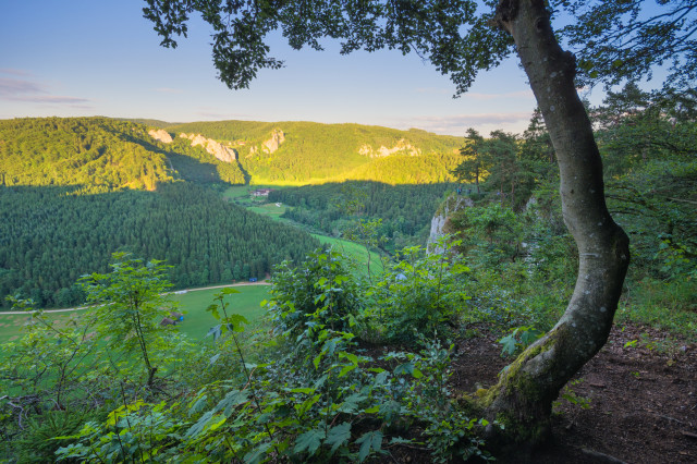 Auf dem Knopfmacherfelsen bei Beuron