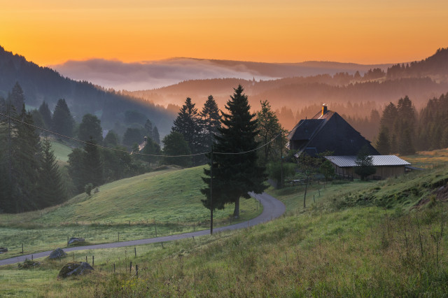 Morgenstimmung, Blasiwald-Sommerseite