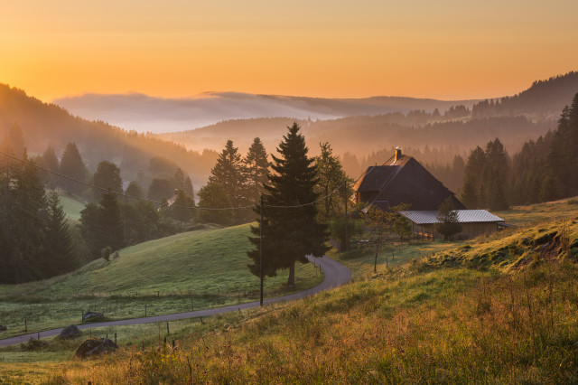 Morgenstimmung, Blasiwald-Sommerseite