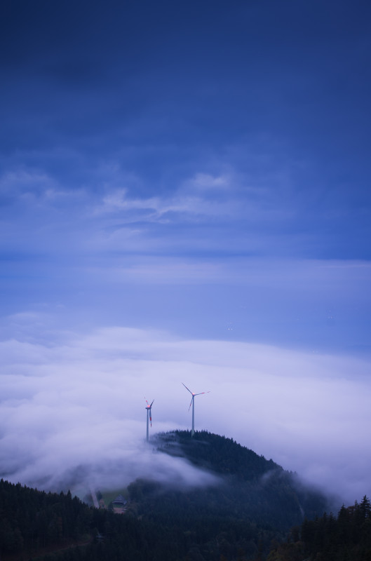 Abenddämmerung mit Nebel auf dem Schauinsland