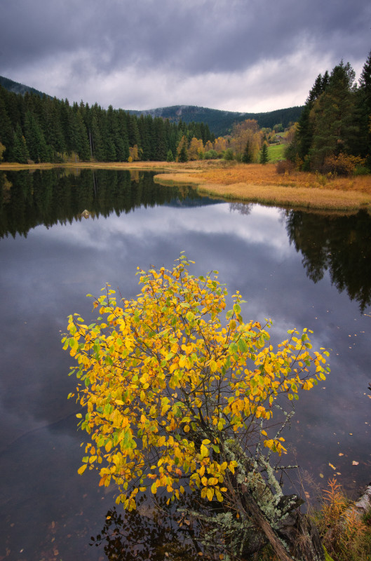 Herbstfarben am Schluchsee