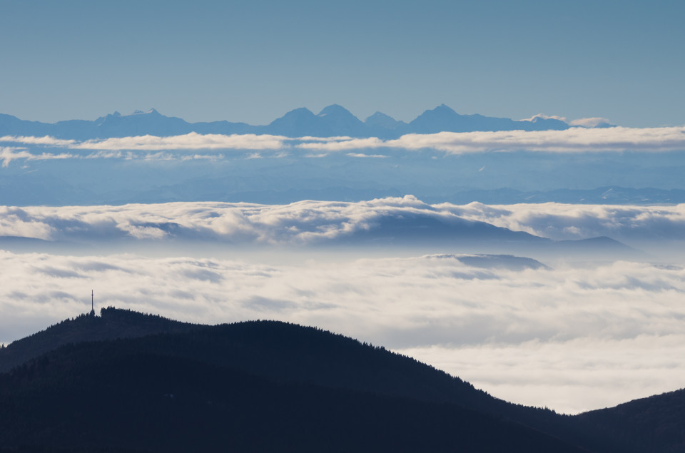 Alpenblick vom Belchen bei Inversionwetterlage