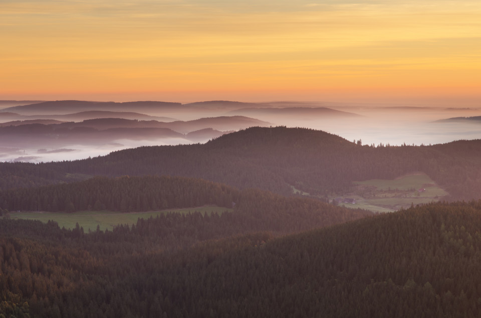 Morgenstimmung mit Nebel im Hochschwarzwald