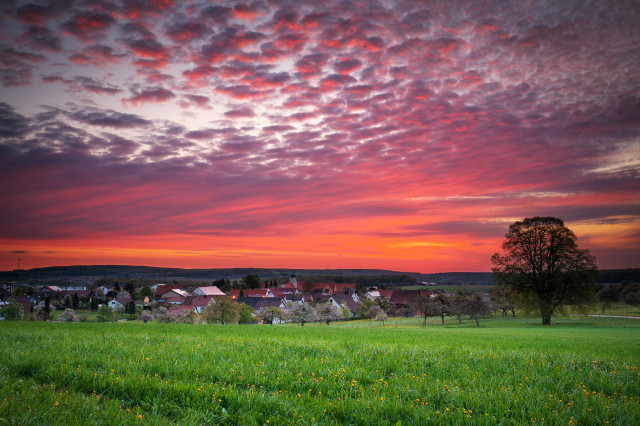 Morgenrot über Luizhausen