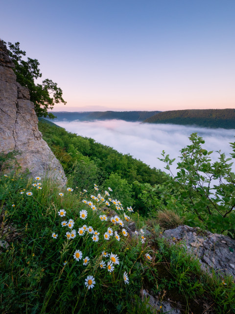Morgenstimmung mit Frühnebel über dem Filstal