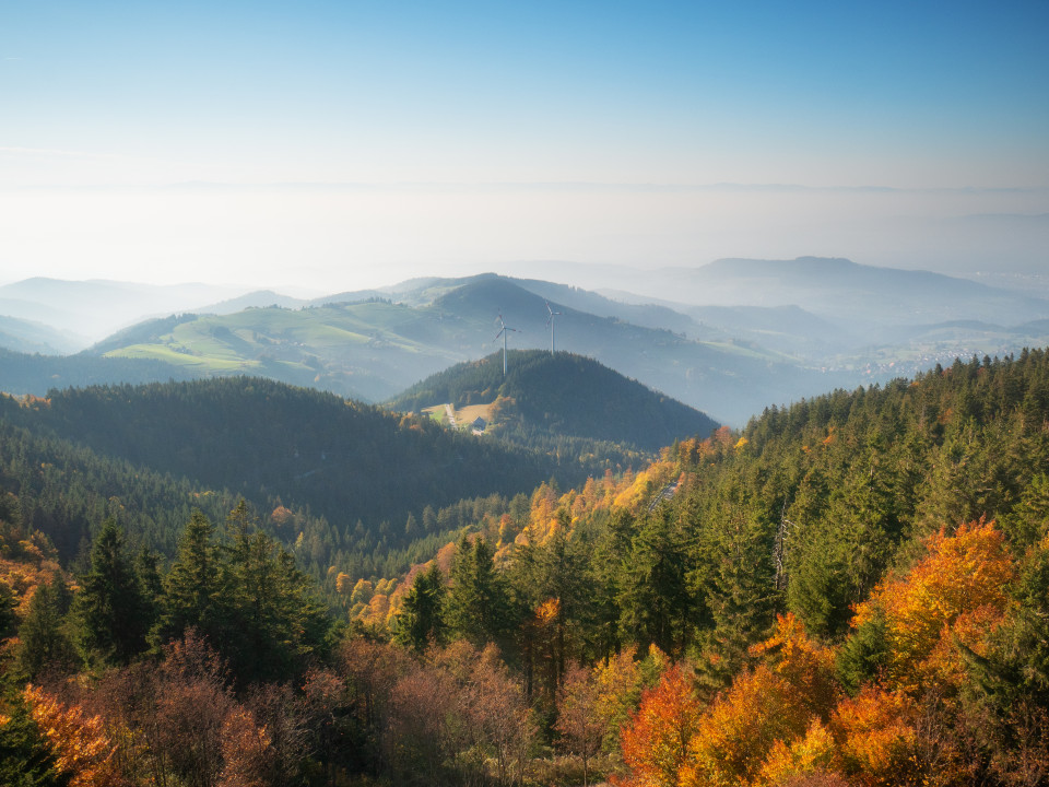 Herbstliche Aussicht vom Schauinsland