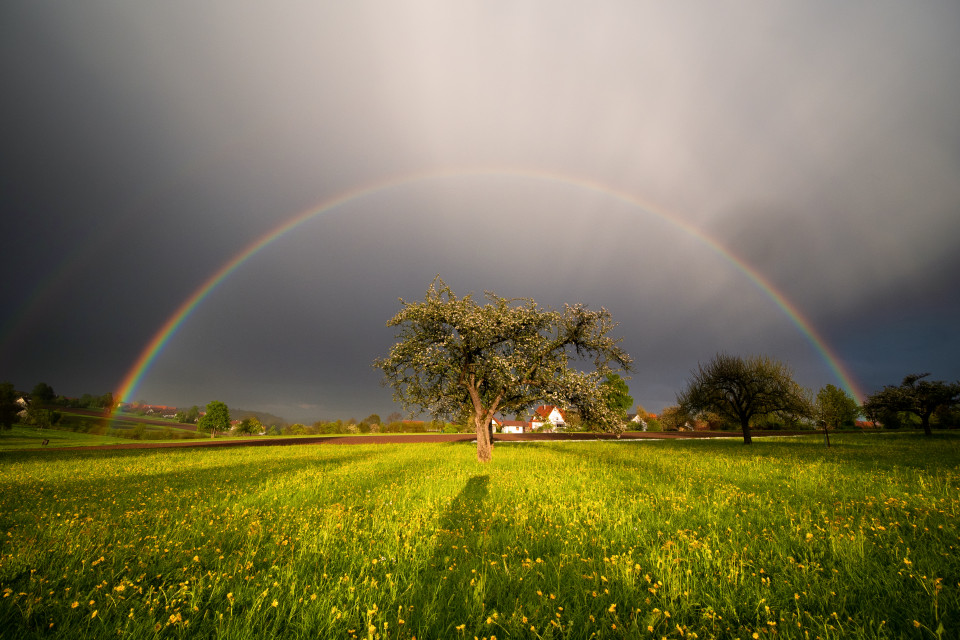 Regenbogen bei Calw-Altburg