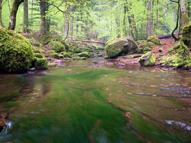 Monbachtal
