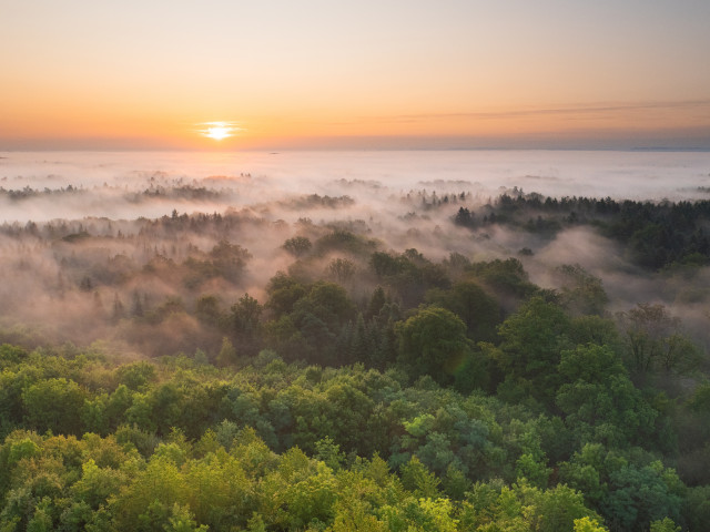 Morgenstimmung auf dem Schönbuchturm