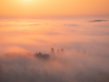 Morgendliche Nebelstimmung unter dem Schönbuchturm