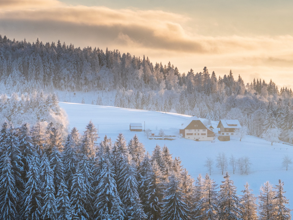 Winterlandschaft bei Neukirch