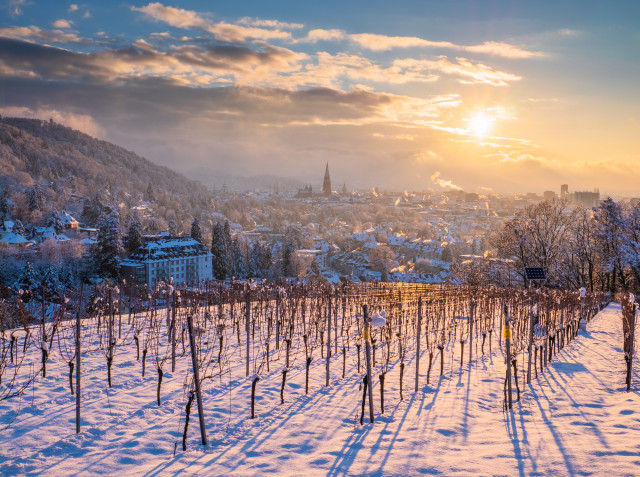 Winterlicher Sonnenuntergang über Freiburg