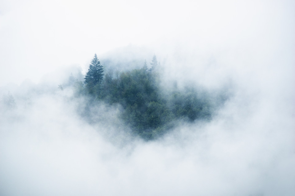 Schwarzwaldlandschaft mit Nebelschwaden