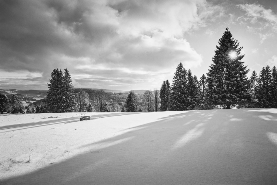 Winterlandschaft bei Bärental