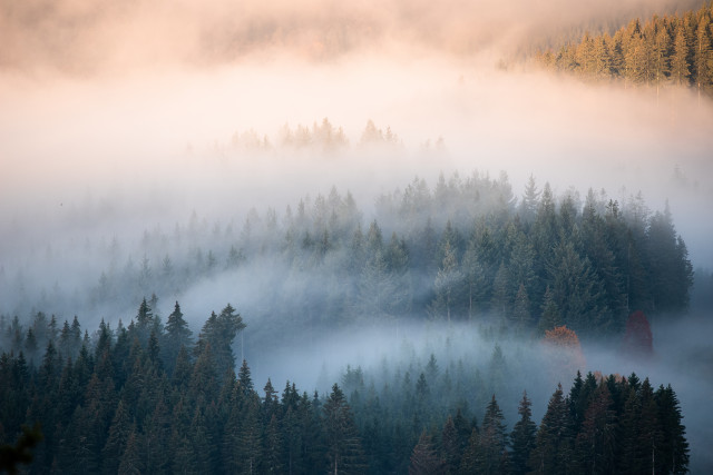 Blick vom Bildstein auf den Nebel über dem Schluchsee