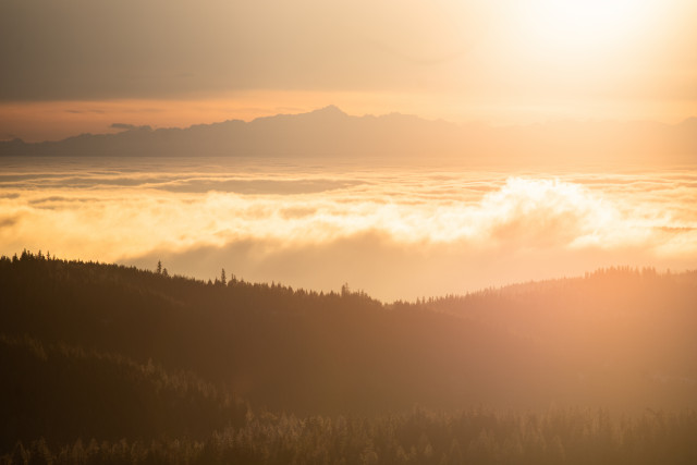 Inversion mit Alpenblick im Morgenlicht