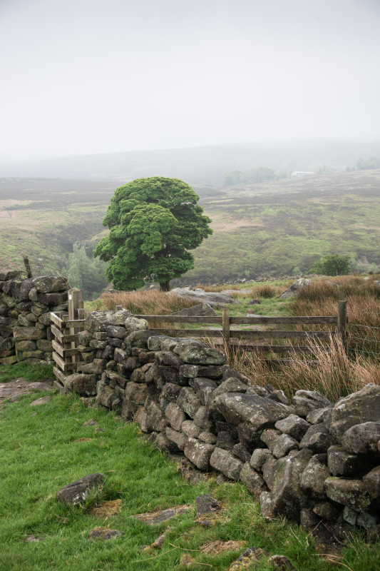 Landschaft bei Haworth