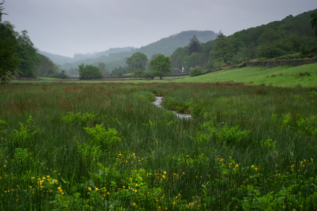 Dale Park