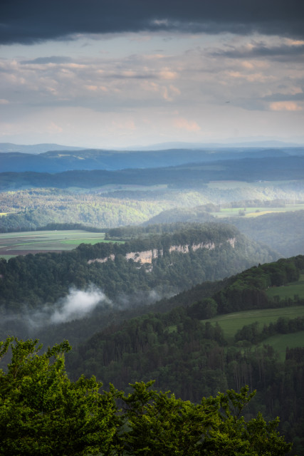 Blick vom Buchberg über de Wutachflühen