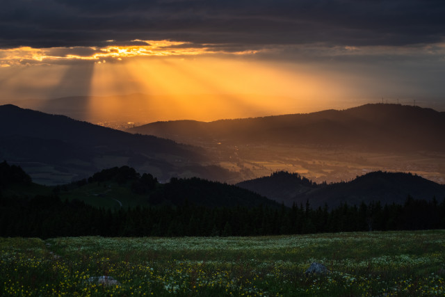Abendstimmung auf dem Hinterwaldkopf