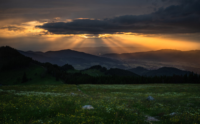 Abendstimmung auf dem Hinterwaldkopf