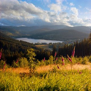 Titiseeblick