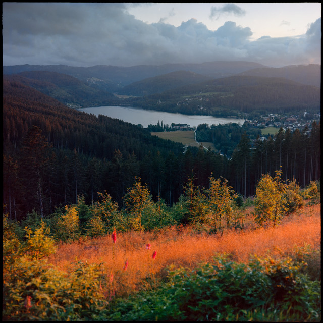 Titiseeblick