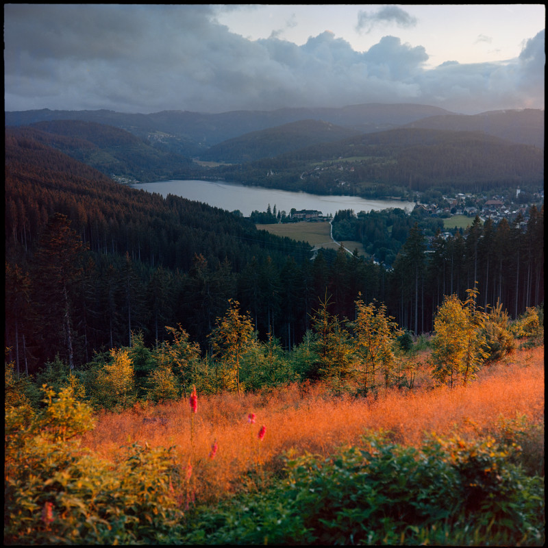 Titiseeblick