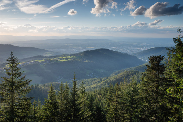 Aussicht vom Stäpfelefelsen