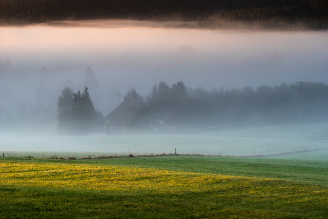 Morgendliche Nebelstimmung bei Hinterzarten