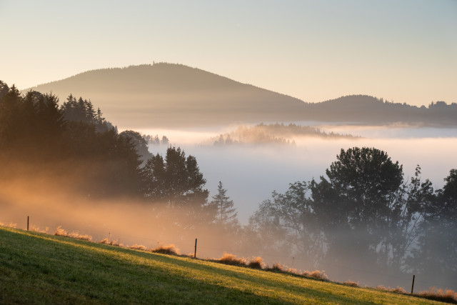 Morgendliche Nebelstimmung bei Hinterzarten