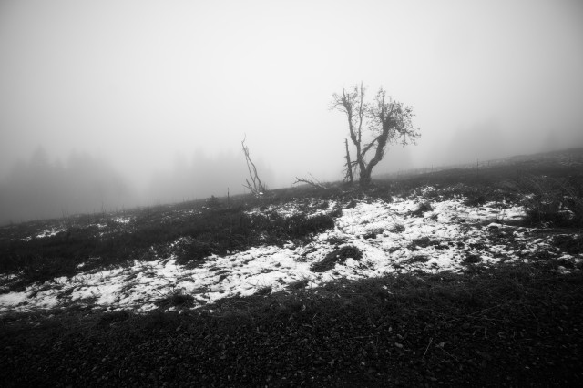 Erster Schnee 2024