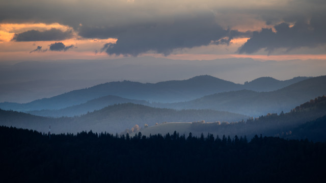 Aussichtsdetail auf dem Stübenwasen