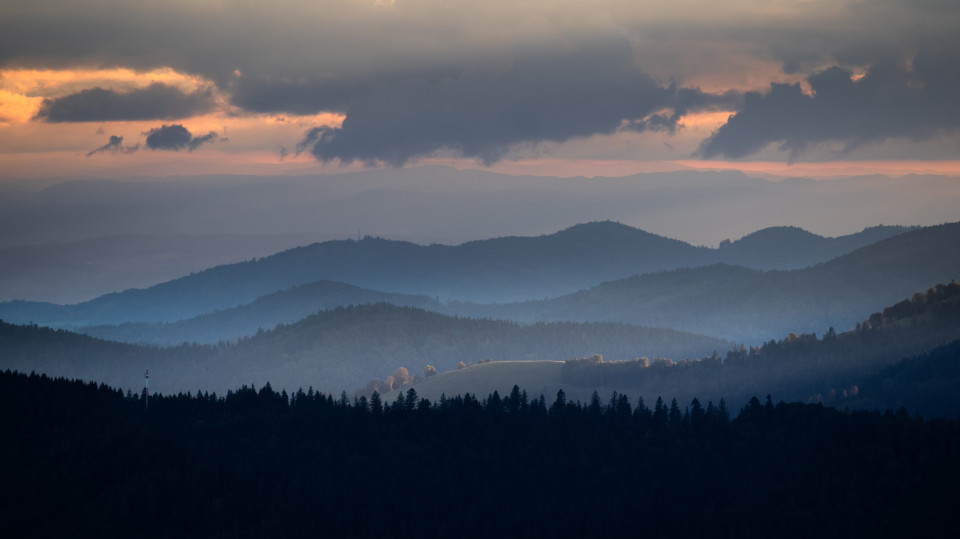 Aussichtsdetail auf dem Stübenwasen