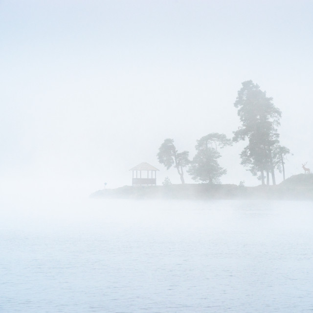 Schluchsee im Nebel